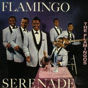 The Flamingos: Flamingo Serenade