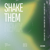 Shake Them (Axel North Remix)