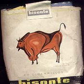 Bisonte