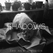 The New Division: Shadows