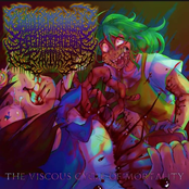 The Viscous cycle of Mortality