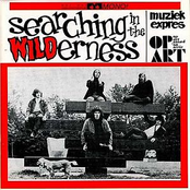 Searching In the Wilderness
