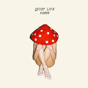 Quiet Life: Foggy