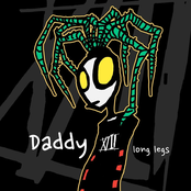 Daddy Long Legs