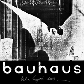 Bauhaus: The Bela Session