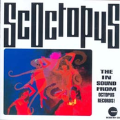 Scoctopus: The In Sound From Octopus Records!