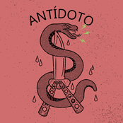 Black Days: Antídoto