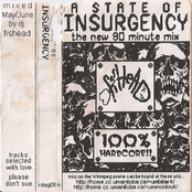 A State Of Insurgency