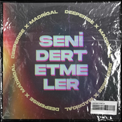 Seni Dert Etmeler