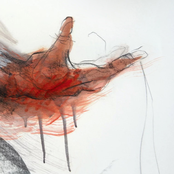 Person Place or Thing (Vinyl)