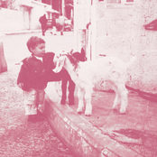 Saint Levant: From Gaza, With Love