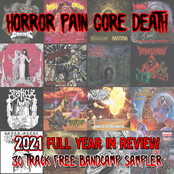 HPGD 2021 Full Year In Review