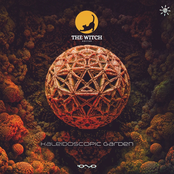 Kaleidoscopic Garden