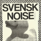 Svensk Noise