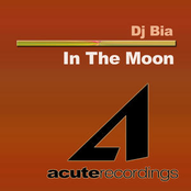 In The Moon