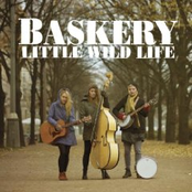 Baskery: Little Wild Life