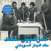 Habibi Funk 013: The King Of Sudanese Jazz