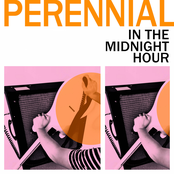 Perennial: In the Midnight Hour