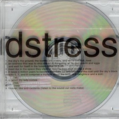 Under Thunder & Fluorescent Lights