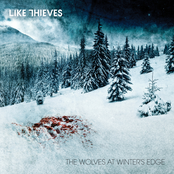 Echoes Of Time by Like Thieves