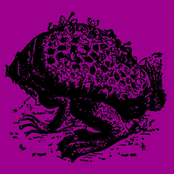 REHEARSAL AT THE CHURCH OF SAINT TOAD