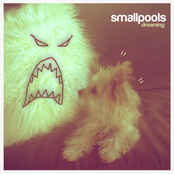 Smallpools: Dreaming