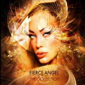 Fierce Angel Presents The Collection