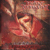 Abrupted Equilibrium by In Utero Cannibalism