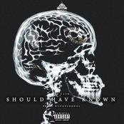 Shoulda Known