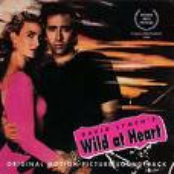 Wild At Heart
