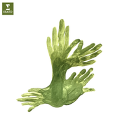 Ravel: Le jardin féérique from Ma Mère l’Oye - Single