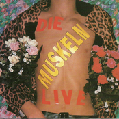 Die Muskeln Live