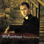 seyfi yerlikaya