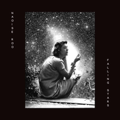Falling Stars