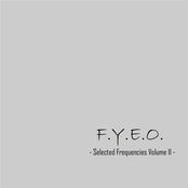 F​.​Y​.​E​.​O. - Selected Frequencies Volume II -