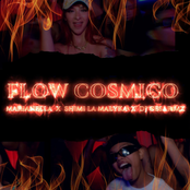 Flow cósmico