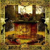 Lucky Funeral (2008)