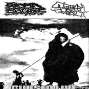 blood suckers / cladophora glomerata