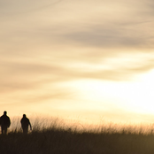 Overlooking The Forgotten