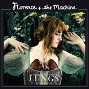 Florence + the Machine