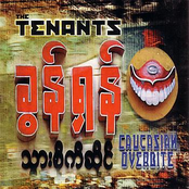 The Tenants: Caucasian Overbite