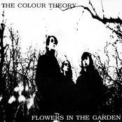 the colour theory