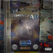 Blue Rhino
