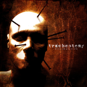 Tracheotomy: Dissimulation (EP)