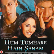 Hum Tumhare Hain Sanam
