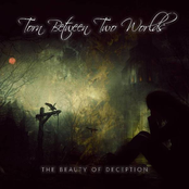 The Beauty Of Deception (Single)