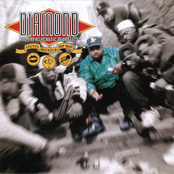Stunts, Blunts & Hip-Hop