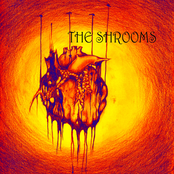 The Shrooms