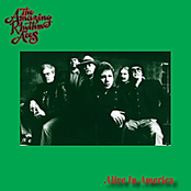 Typical American Boy by The Amazing Rhythm Aces