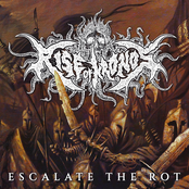 Escalate The Rot